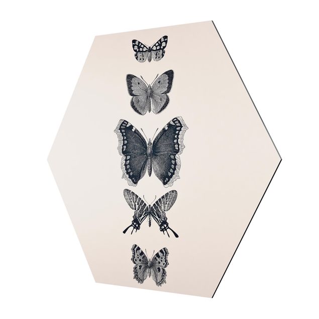 Quadros decorativos Ink Butterflies On Beige Backdrop