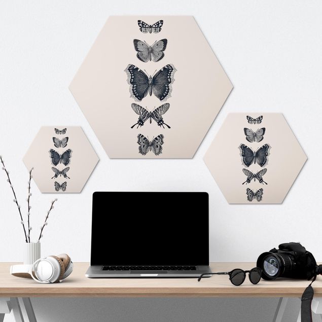 Quadros hexagonais Ink Butterflies On Beige Backdrop