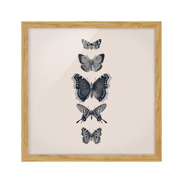 quadros modernos para quarto de casal Ink Butterflies On Beige Backdrop