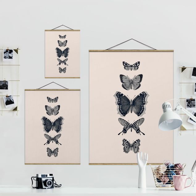 Quadros decorativos Ink Butterflies On Beige Backdrop
