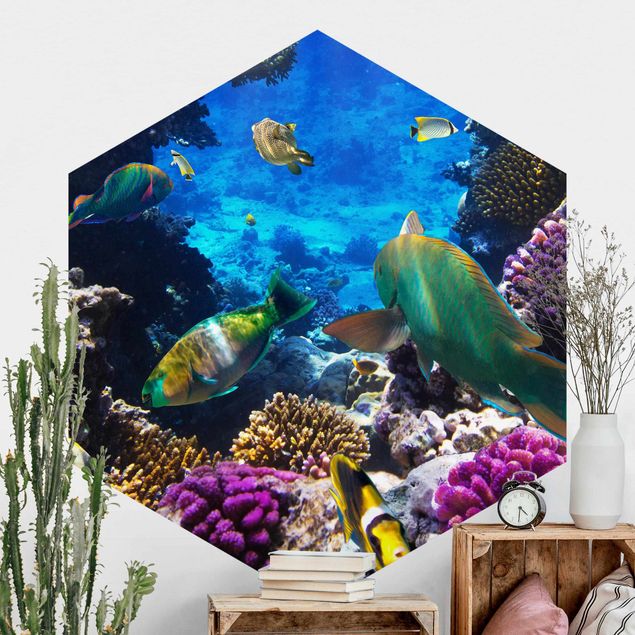 papel de parede de peixe Underwater Dreams