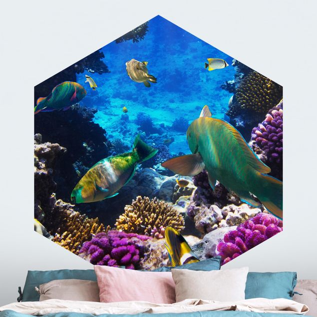 decoraçao para parede de cozinha Underwater Dreams
