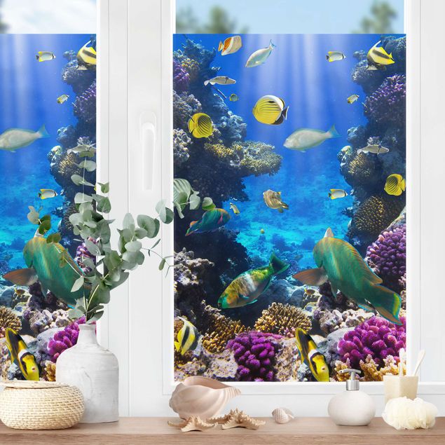 Autocolantes para vidros animais Underwater Dreams