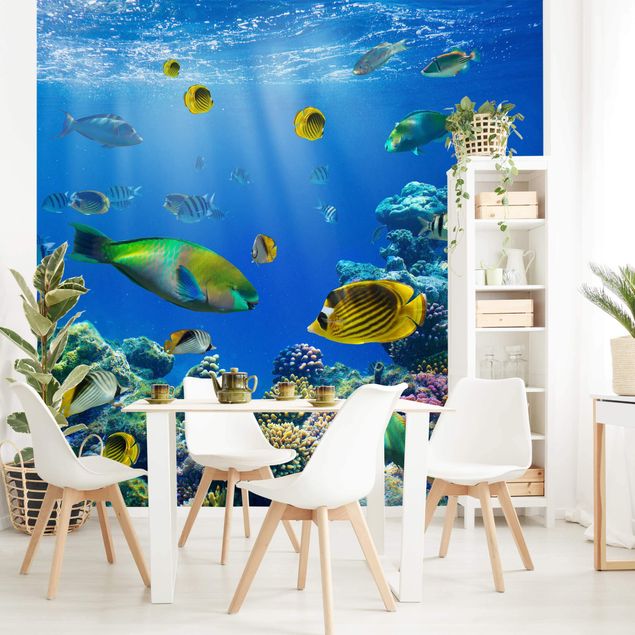 papel de parede com peixe Underwater Lights