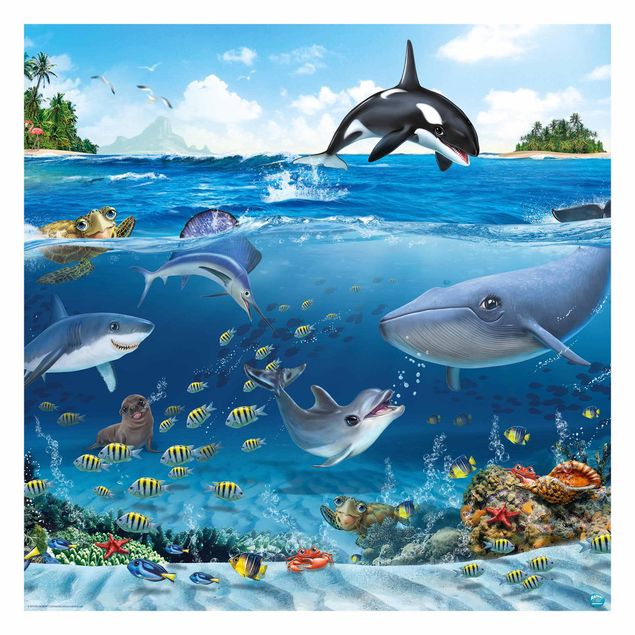 papel de parede com paisagem Animal Club International - Underwater World With Animals