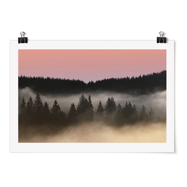 Posters paisagens Dreamy Foggy Forest