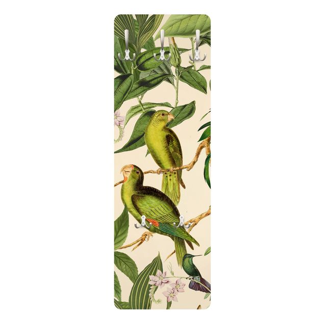 Cabides de parede em verde Vintage Collage - Parrots In The Jungle