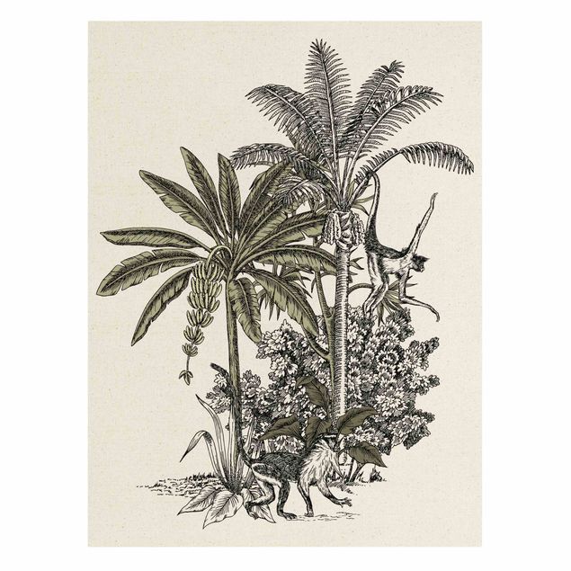 Quadros florais Vintage Illustration - Monkeys  And Palm Trees