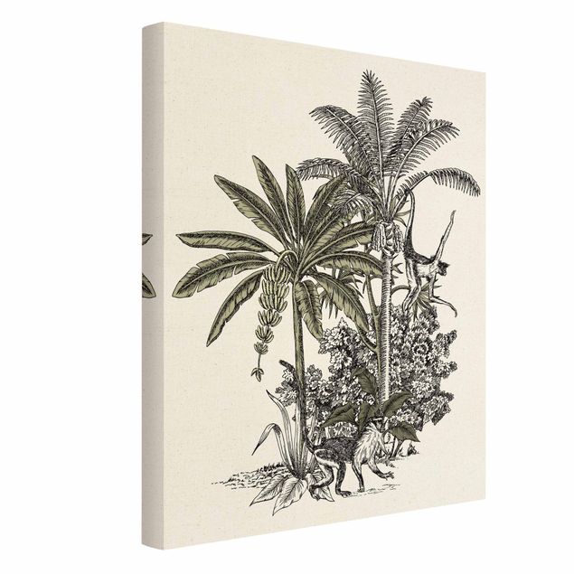 quadros de flores Vintage Illustration - Monkeys  And Palm Trees