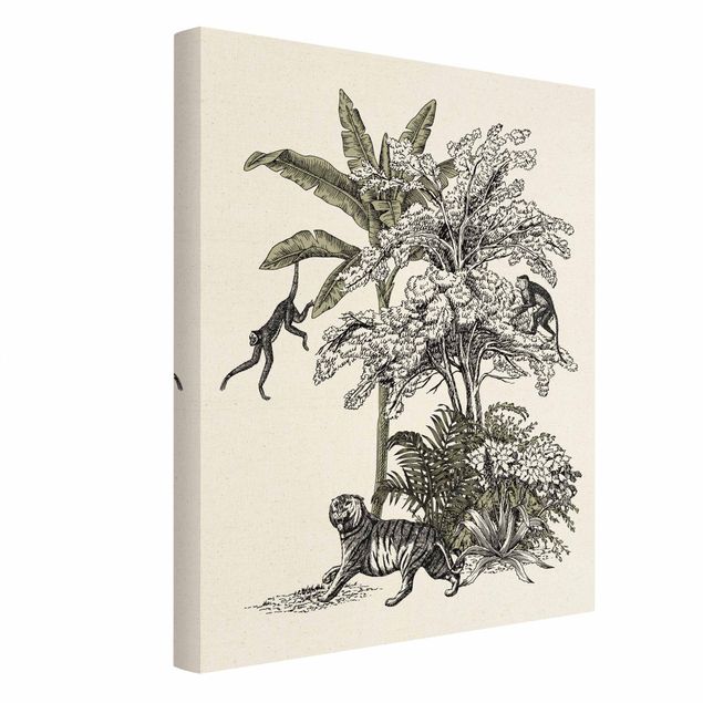Quadros florais Vintage Illustration - Climbing Monkeys