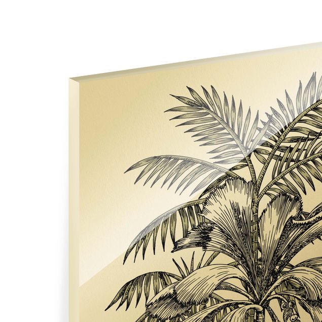 quadros para parede Vintage Illustration - Tiger And Palm Trees