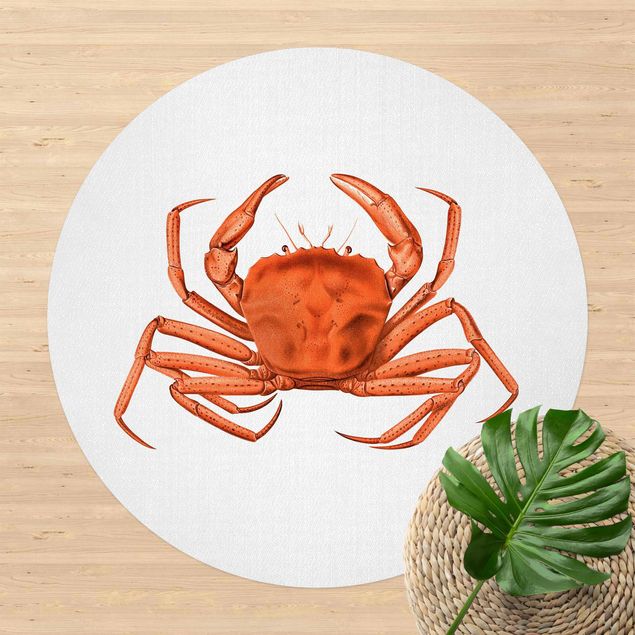 tapetes de exterior Vintage Illustration Red Crab