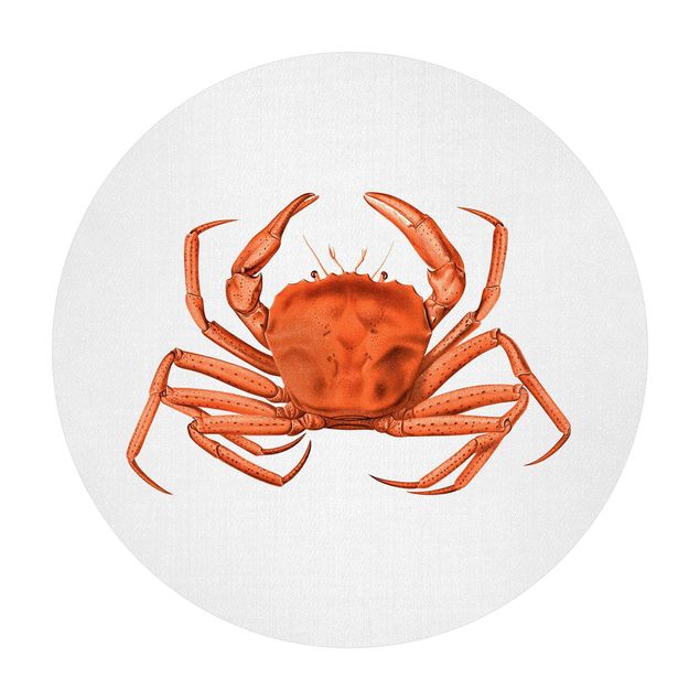 tapete vinil Vintage Illustration Red Crab