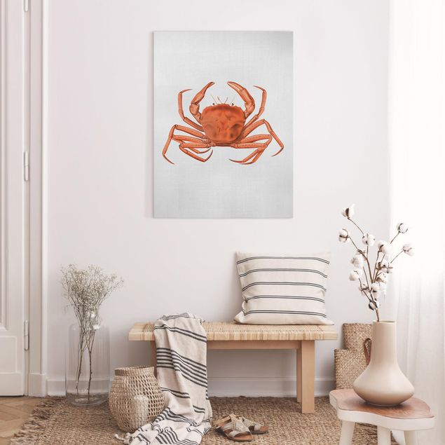 Quadros peixes Vintage Illustration Red Crab