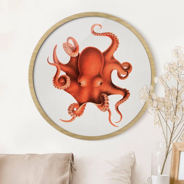 Quadros com moldura praia Vintage Illustration Red Octopus