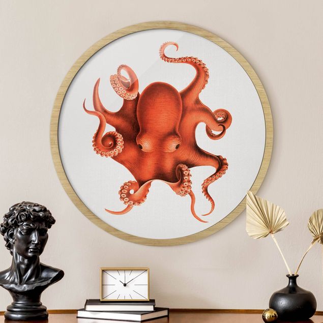 Quadros peixes Vintage Illustration Red Octopus