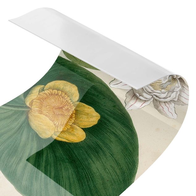 revestimento para cozinha Vintage Board White Water-Lily