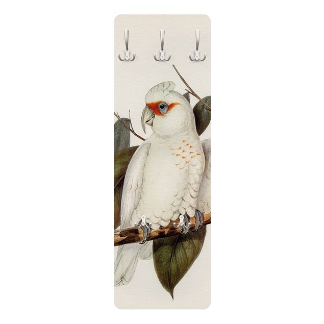 Cabide parede branco Vintage Illustration White Cockatoo