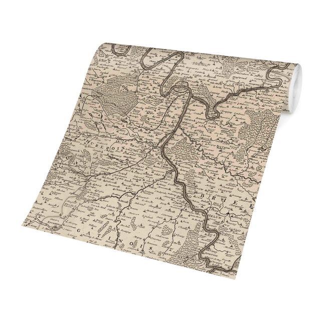 Papel de parede bege Vintage Map France
