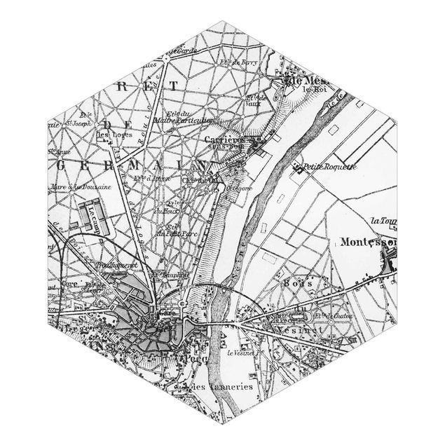 Quadros de Andrea Haase Vintage Map St Germain Paris