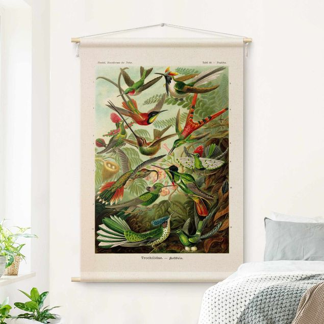 Tapeçaria de parede moderna Vintage Teaching Illustration Hummingbirds