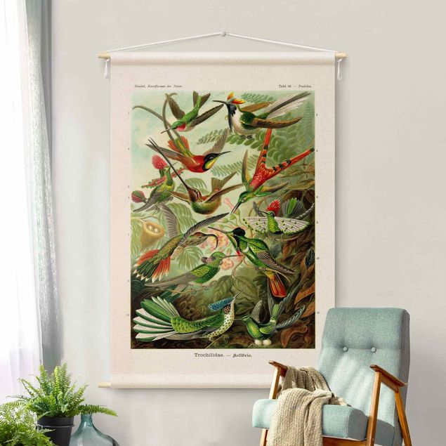 Tapeçaria de parede vintage Vintage Teaching Illustration Hummingbirds