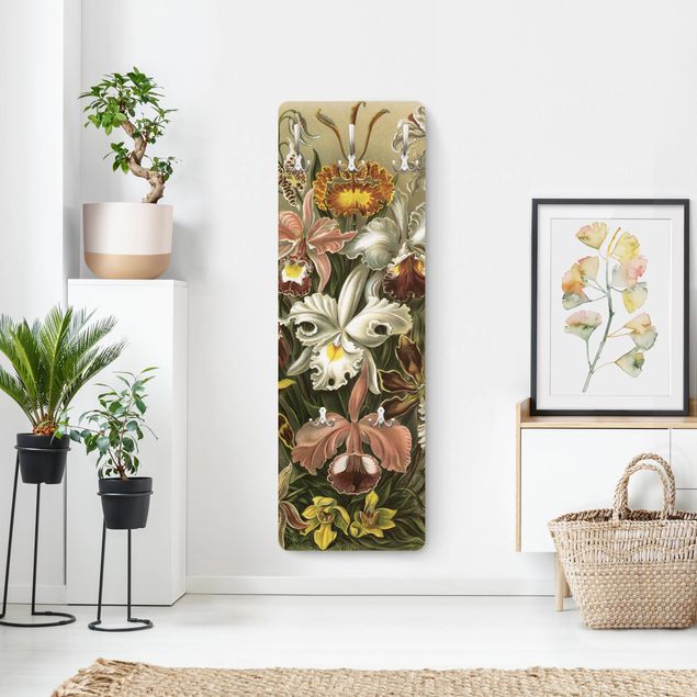 Cabides de parede flores Vintage Board Orchid