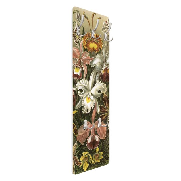 Cabides de parede Vintage Board Orchid