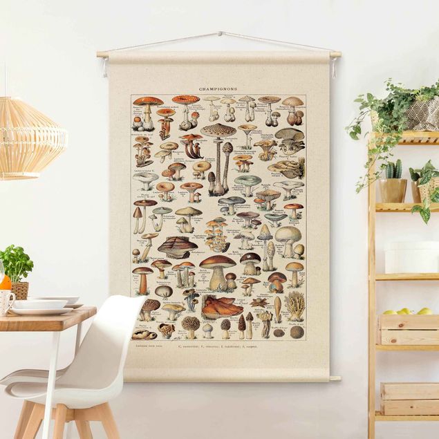 Tapeçaria de parede moderna Vintage Teaching Illustration Mushrooms