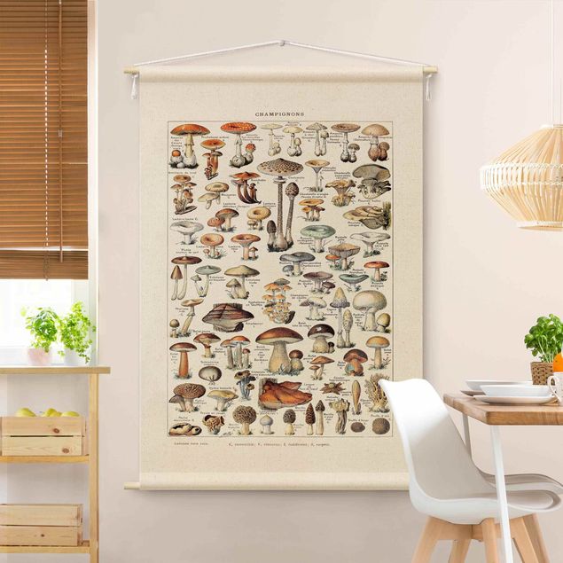 Tapeçaria de parede vintage Vintage Teaching Illustration Mushrooms