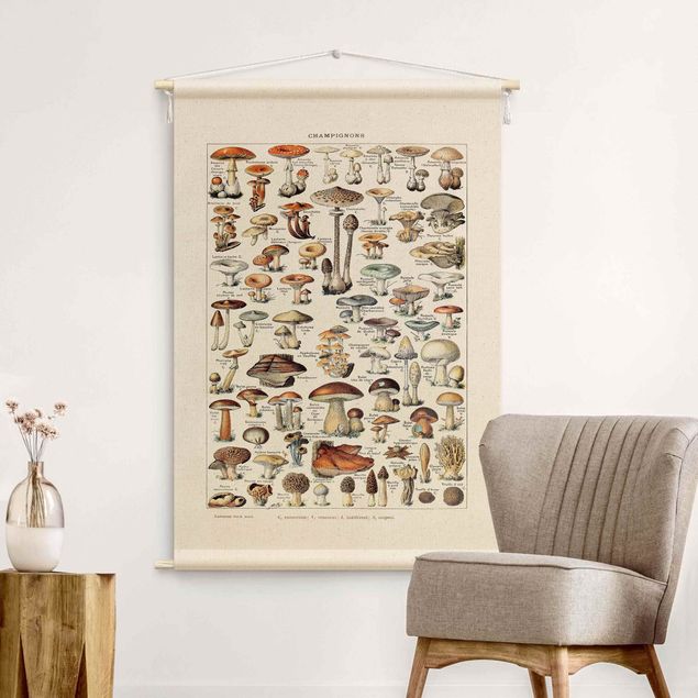 Tapeçaria de parede XXL Vintage Teaching Illustration Mushrooms