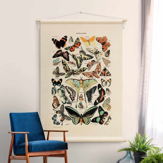 Tapeçaria de parede vintage Vintage Teaching Illustration Butterflies
