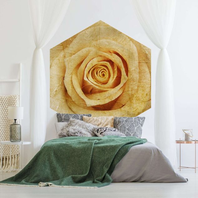 papel de parede moderno para sala Vintage Rose