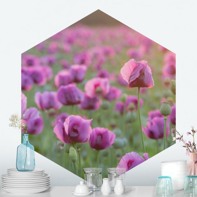 decoraçao cozinha Purple Poppy Flower Meadow In Spring