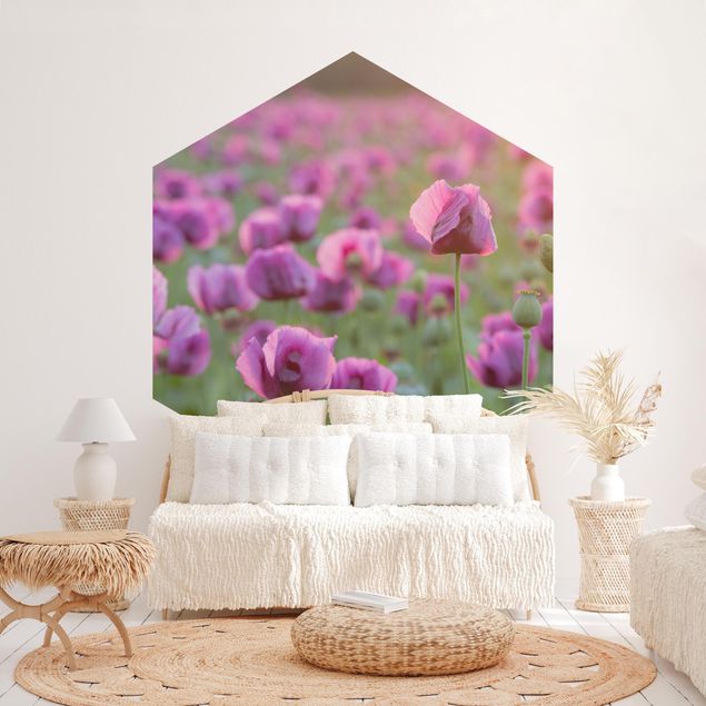 papel de parede moderno para sala Purple Poppy Flower Meadow In Spring