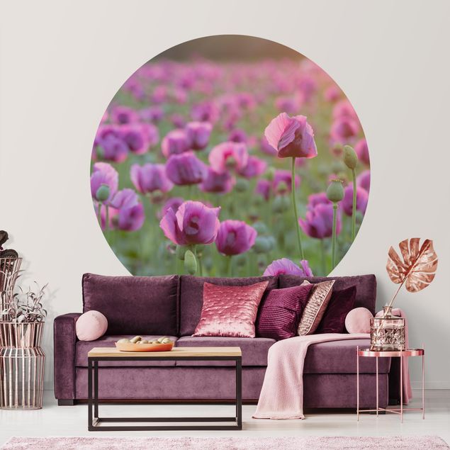 decoraçao para parede de cozinha Purple Poppy Flower Meadow In Spring