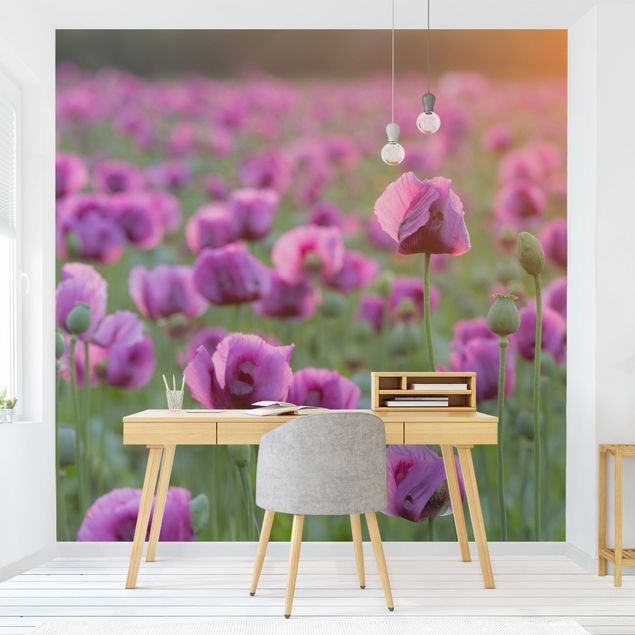 papel de parede moderno para sala Purple Poppy Flower Meadow In Spring