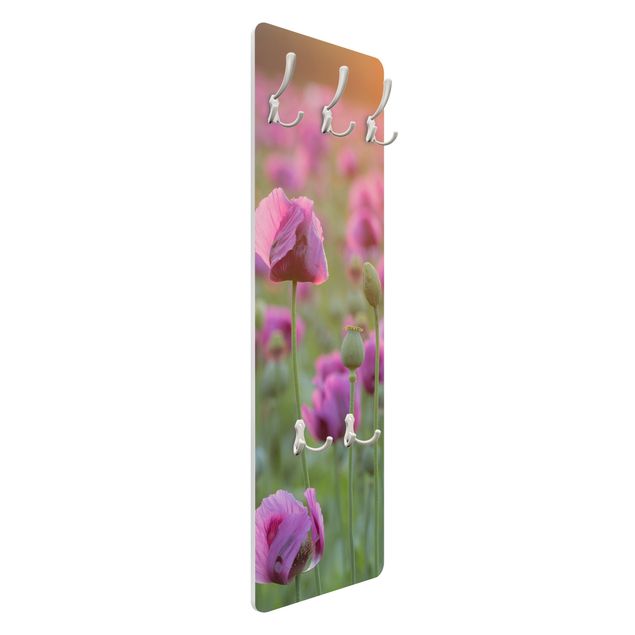 Cabides de parede Purple Poppy Flower Meadow In Spring