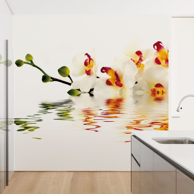papel de parede moderno Vivid Orchid Waters