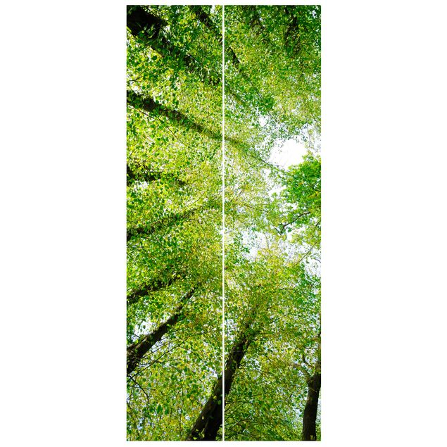 papel parede de floresta Trees Of Life