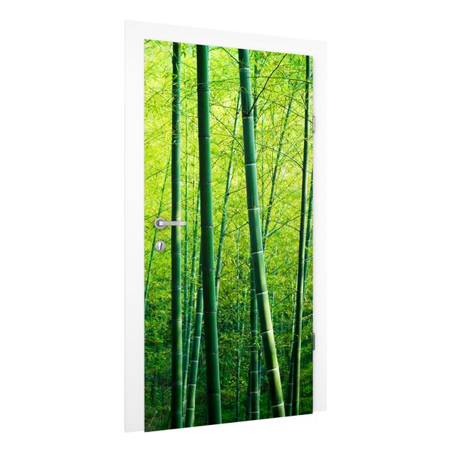 papel de paredes 3d Bamboo Forest