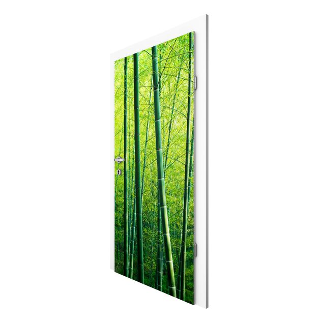 papel parede de floresta Bamboo Forest