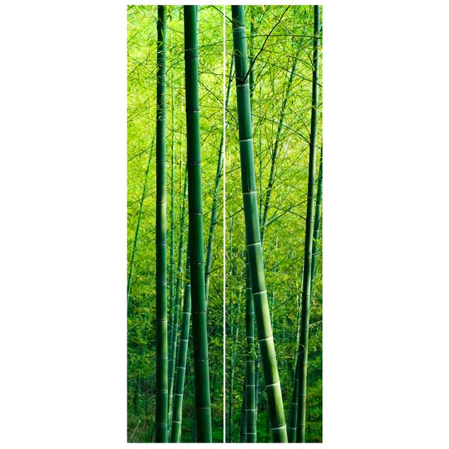 papel de parede moderno para sala Bamboo Forest