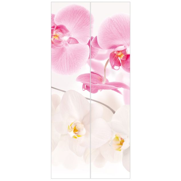 papel parede de flor Delicate Orchids