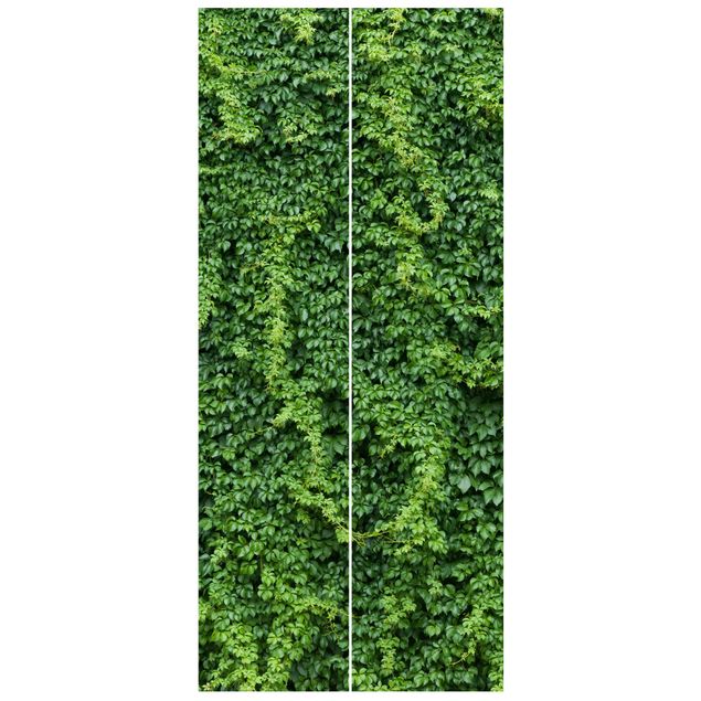 Papel de parede para porta flores Ivy