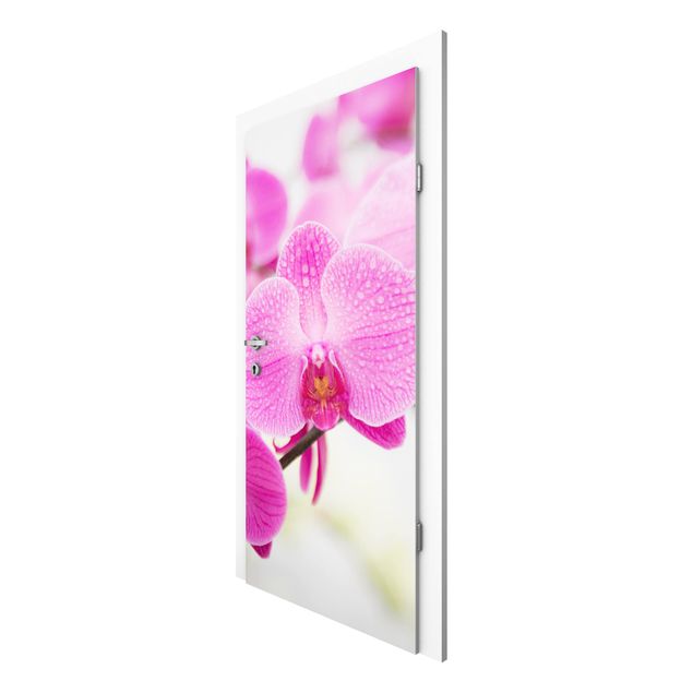 papel de parede para quarto de casal moderno Close-Up Orchid