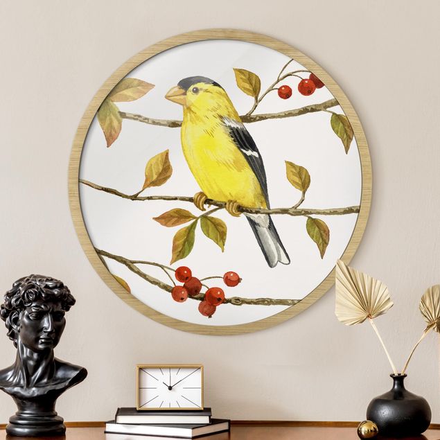 Quadros com moldura animais Birds And Berries - American Goldfinch