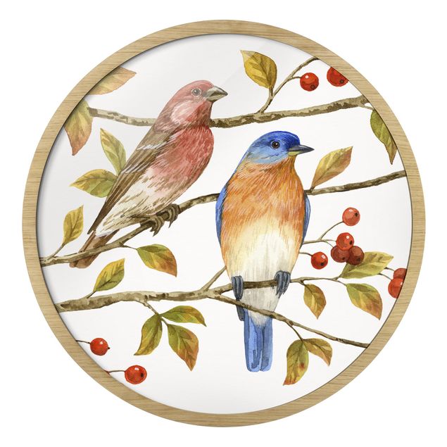 Quadros decorativos Birds And Berries - Bluebird