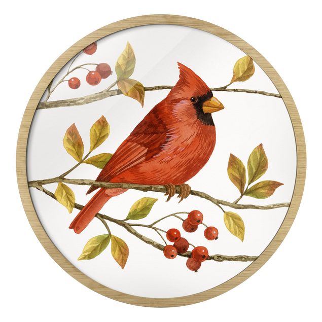 Quadros laranjas Birds And Berries - Northern Cardinal