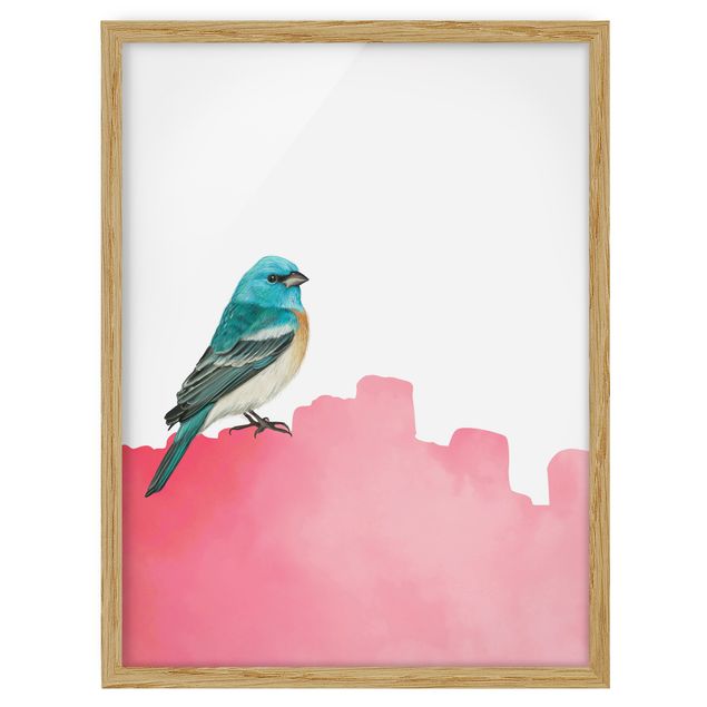 quadro animais quarto bebé Bird On Pink Backdrop